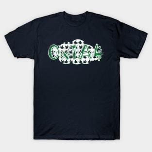 Cloud architect smoke tests T-Shirt